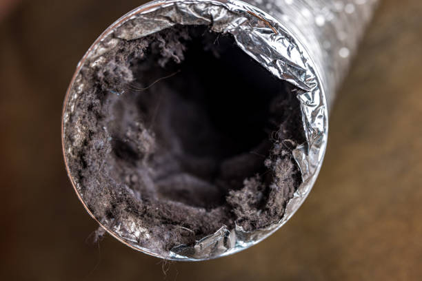 Best Best Air Duct Cleaning Company  in Port Royal, SC